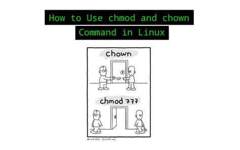 chown 777.